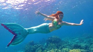 woman-makes-her-living-as-a-real-life-mermaid-136404141104403901-160221172019